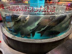 -魏铭鱼头捞饭(晋阳路店)