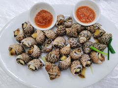 海螺-老三鱼仔店