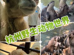 -杭州野生动物世界