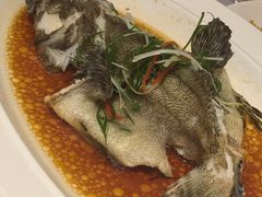清蒸老虎斑-79号渔船海鲜饭店(宝安店)
