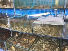 水产区-蟹谢蒸鲜自助餐厅