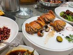 -食神鱼头佛跳墙(百子湾旗舰店)