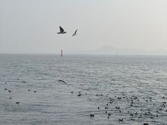 -深圳湾公园(南山区)
