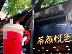 -茶颜悦色(岳麓山顶店)