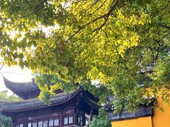 -西园戒幢律寺