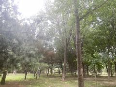 -东升八家郊野公园