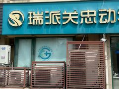 -瑞派·关忠动物医院·猫专科·犬专科(三环新城店)
