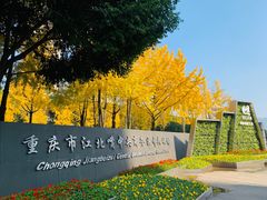 -重庆市江北嘴中央商务区中央公园