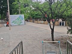 -1982农场