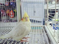 -乐宠宠物店(世纪金源店)
