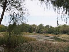 -北坞公园