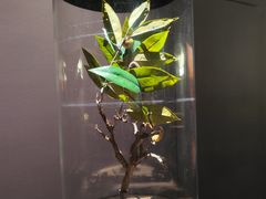 -中国湿地博物馆
