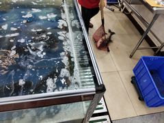 -雪野鱼头大王邢府公老店(雪野湖店)