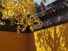 -西园戒幢律寺