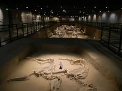 -洛阳周王城天子驾六博物馆