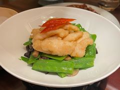 -觅唐MITONG(鸟巢店)