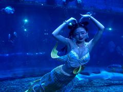 -华夏文旅海洋公园