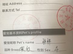 -瑞鹏宠物医院·宠保定点·心脏科·内科(御桥分院)