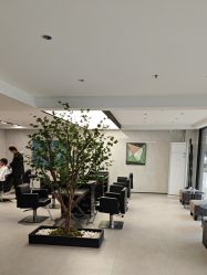 -付军剪艺JF ProSalon