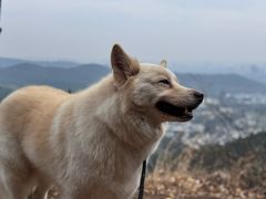 -旺山·浪头人家