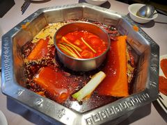 -蜀九香火锅(九眼桥店)