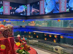 -东方御宴海鲜酒楼(棕泉酒店)