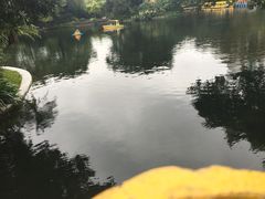 -晓港公园