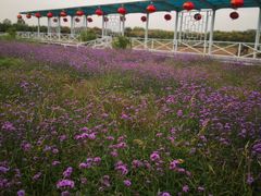 -兰陵国家农业公园