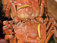 -成隆行·蟹王府(淮海店)