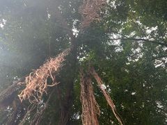 -乌山风景区