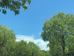 -上海长兴岛郊野公园