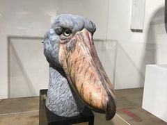 -【朵云轩艺术中心】博洛尼亚插画展·中国巡展·上海站