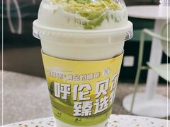 -茉酸奶(春熙路店)