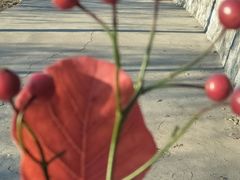 -鬼笑石后山停车场