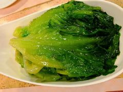 盐水白灼生菜-点都德(聚福楼店)