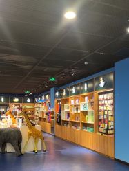 -飞览天下沉浸式飞行体验(北京旗舰店)
