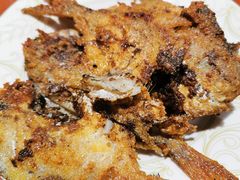 -比尔森韩式烤肉自助(绿园店)