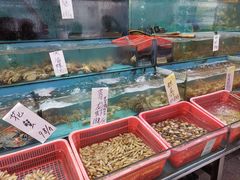水产区-新享乐海鲜(翠华路店)