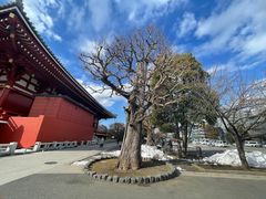 -浅草寺