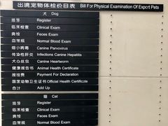 -申普宠物医院·心脏介入·心血管微创(总院)