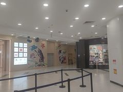 -凯德MALL(望京店)