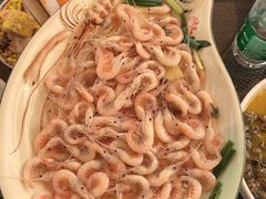 -亮河湾山庄
