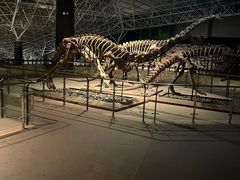 -世界恐龙谷景区