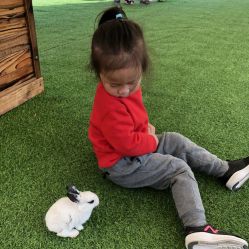 -萌宠亲子动物乐园(槐房万达店)