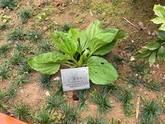 -广州神农草堂中医药博物馆