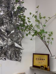 -茶发Salon·烫发染发理发