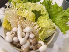 树籽娃娃菜-鹿港小镇(黄金店)