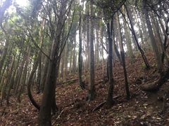 -井冈山风景名胜区-黄洋界