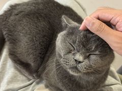 -平行世界·猫咖(首经贸店)