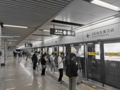 -乌文新澄海卤鹅店
